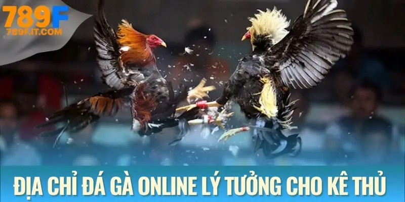 Đá Gà 789F - Sân Chơi Cá Cược Đỉnh Cao Dành Cho Kê Thủ Đá gà 789F - Địa chỉ lý tưởng cho kê thủ chuyên nghiệp